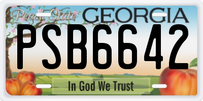 GA license plate PSB6642