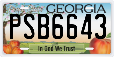 GA license plate PSB6643