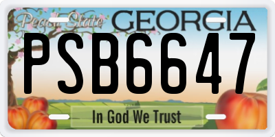 GA license plate PSB6647
