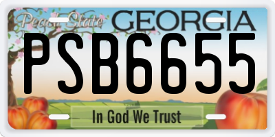 GA license plate PSB6655