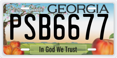 GA license plate PSB6677