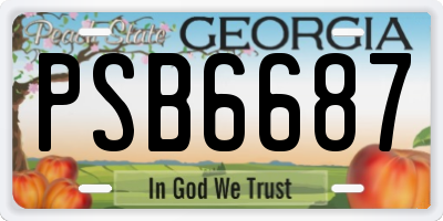 GA license plate PSB6687