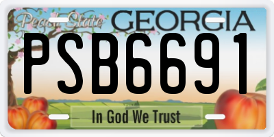 GA license plate PSB6691