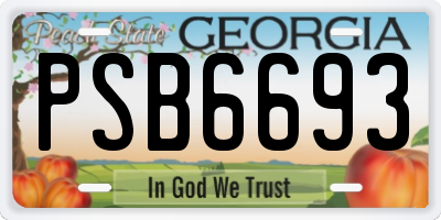 GA license plate PSB6693