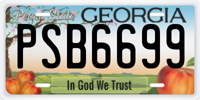 GA license plate PSB6699