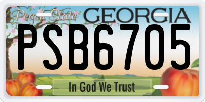 GA license plate PSB6705