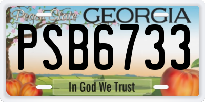 GA license plate PSB6733