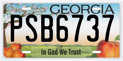 GA license plate PSB6737