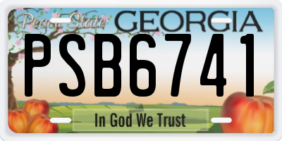 GA license plate PSB6741
