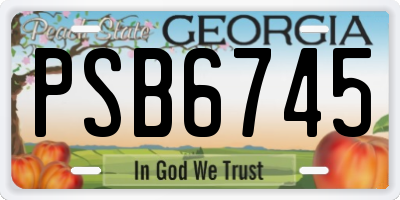 GA license plate PSB6745