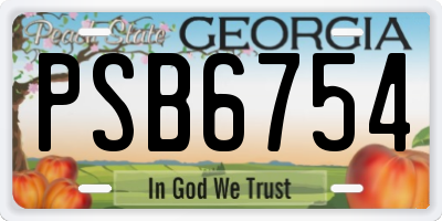 GA license plate PSB6754