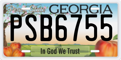 GA license plate PSB6755