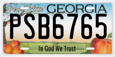GA license plate PSB6765