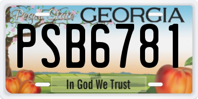 GA license plate PSB6781