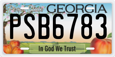 GA license plate PSB6783
