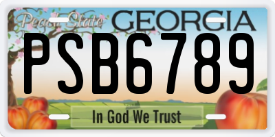 GA license plate PSB6789