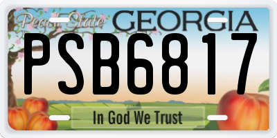 GA license plate PSB6817