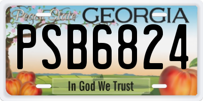 GA license plate PSB6824
