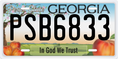 GA license plate PSB6833