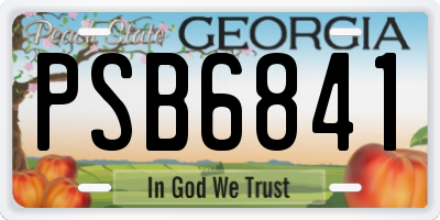 GA license plate PSB6841