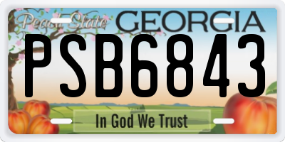 GA license plate PSB6843