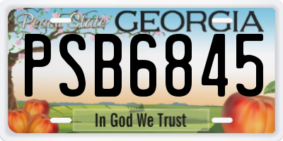 GA license plate PSB6845
