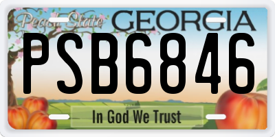 GA license plate PSB6846