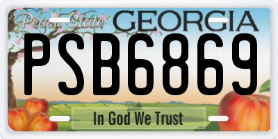 GA license plate PSB6869
