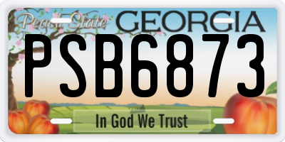 GA license plate PSB6873
