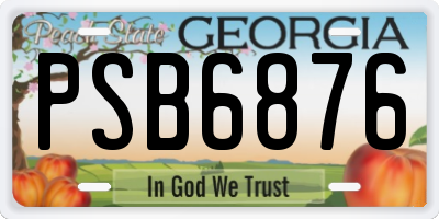GA license plate PSB6876