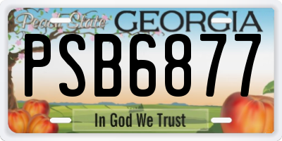 GA license plate PSB6877