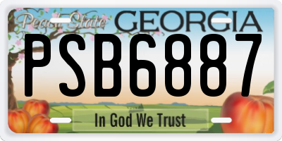 GA license plate PSB6887