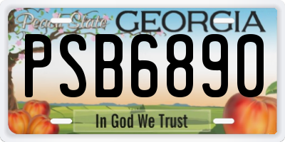 GA license plate PSB6890