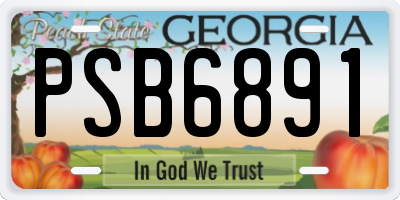 GA license plate PSB6891