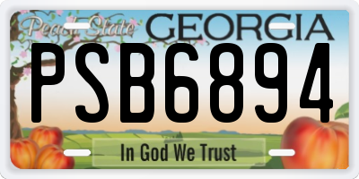 GA license plate PSB6894