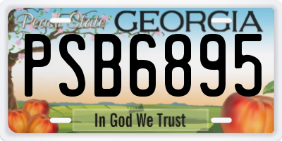 GA license plate PSB6895