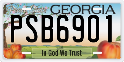 GA license plate PSB6901