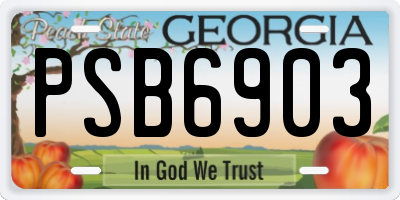 GA license plate PSB6903