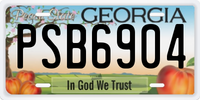 GA license plate PSB6904