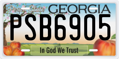 GA license plate PSB6905