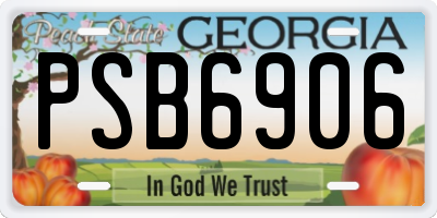 GA license plate PSB6906