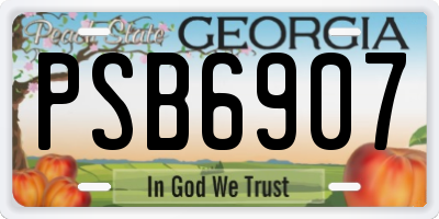 GA license plate PSB6907