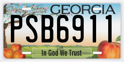 GA license plate PSB6911