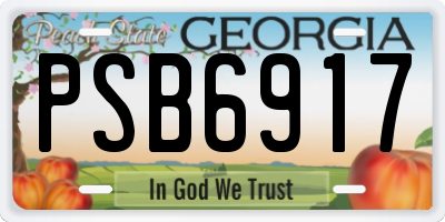GA license plate PSB6917