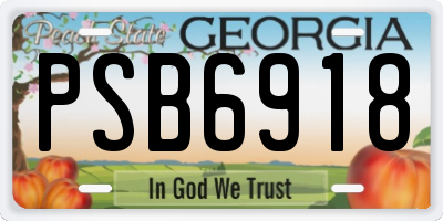 GA license plate PSB6918
