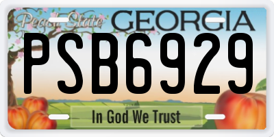 GA license plate PSB6929