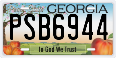GA license plate PSB6944
