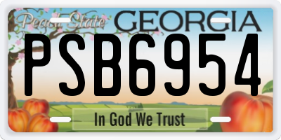 GA license plate PSB6954