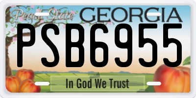 GA license plate PSB6955