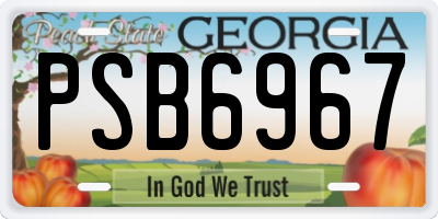 GA license plate PSB6967